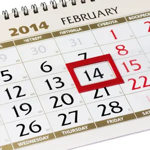 Fundraising calendar ideas