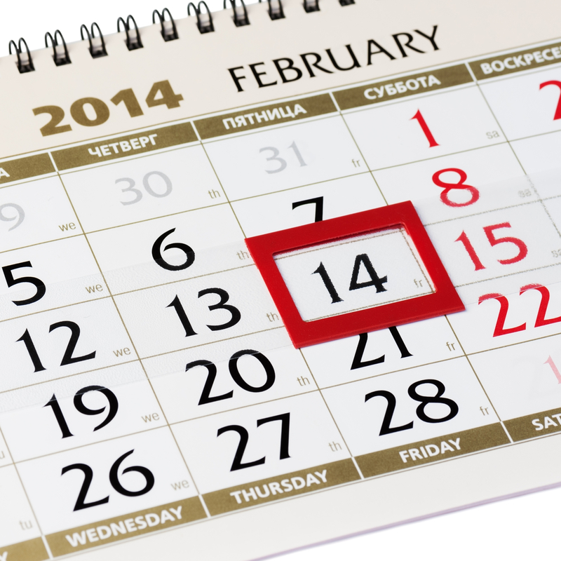 Fundraising calendar ideas